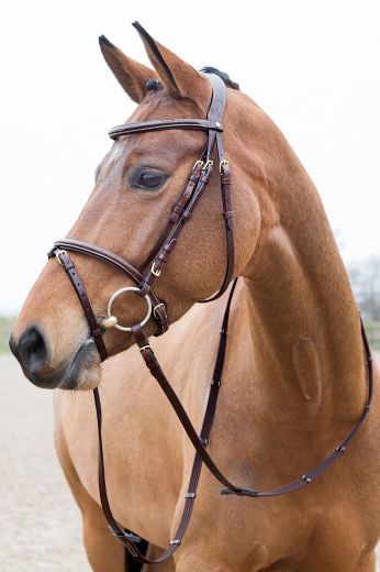 HORZE CONSTANCE BRIDLE BROWN