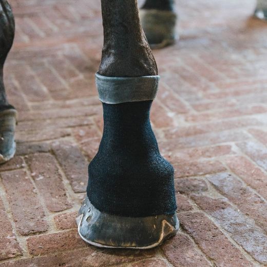 KENTUCKY TENDON GRIP GEL