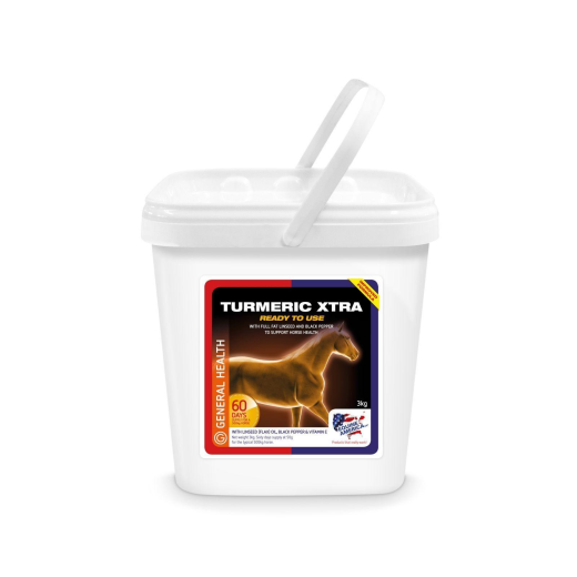 EQUINE AMERICA TURMERIC 3KG