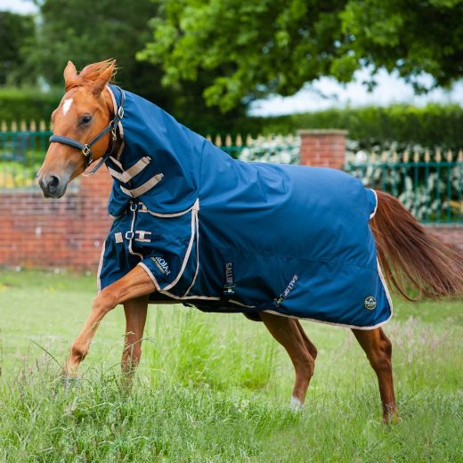 GALLOP TROJAN 100G COMBO TURNOUT