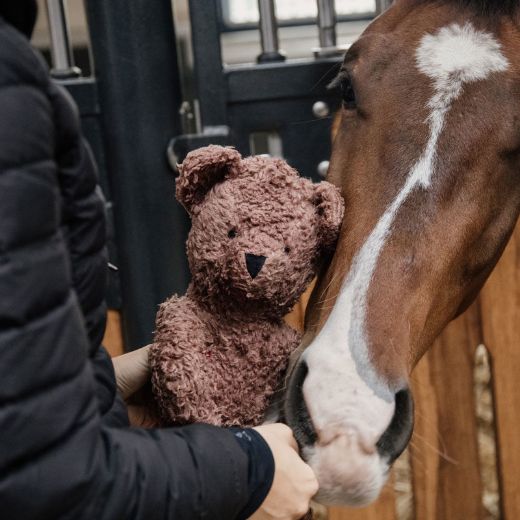 KENTUCKY RELAX HORSE TOY BEAR