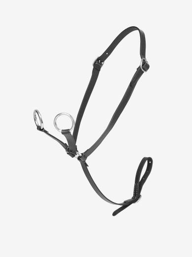 LE MIEUX TOY PONY MARTINGALE IN BLACK