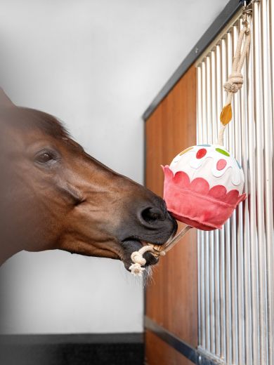 LE MIEUX HORSE TOY CUPCAKE