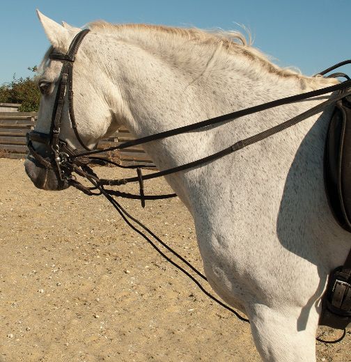 RHINEGOLD LEATHER ROPE DRAW REINS