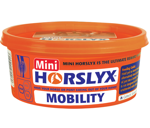 HORSLYX MOBILITY MINI LICK 650G