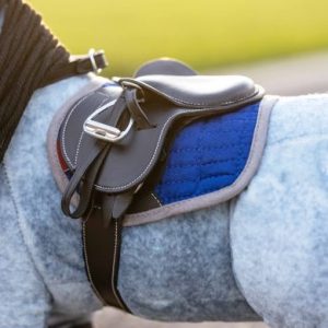 LE MIEUX TOY PONY JUMP PAD BENETTON BLUE