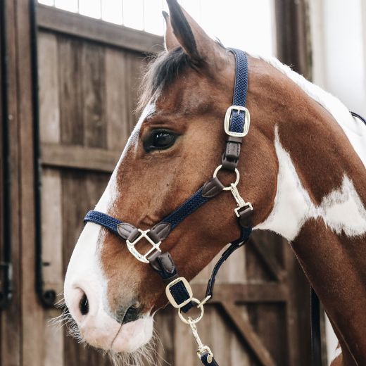 KENTUCKY PLAITED NYLON HEAD COLLAR NAVY