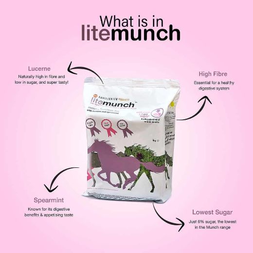 NEW EQUILIBRIUM VITA MUNCH LITE MUNCH 1KG