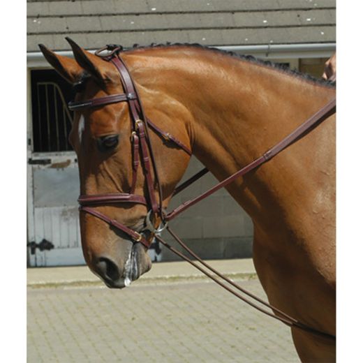 WHITAKER ELASTIC TRAINING REIN
