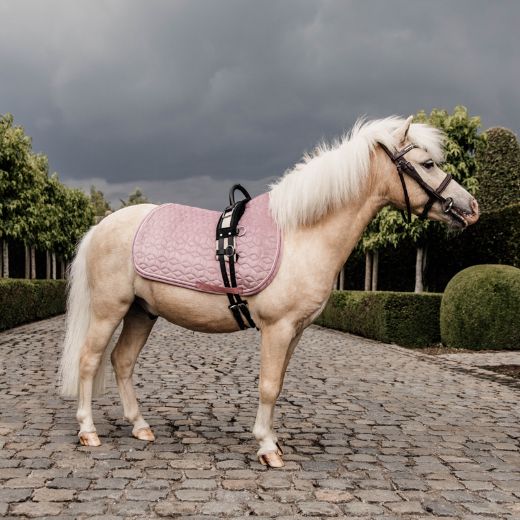 KENTUCKY VELVET SADDLE PAD JUMP PONY OLD ROSE