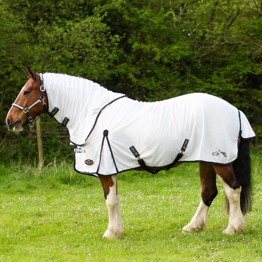 GALLOP DUAL FLY RUG AND NECK SET