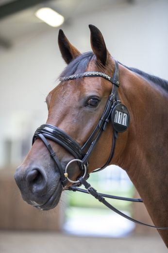 LE MIEUX LEATHER BRIDLE NUMBER HOLDER