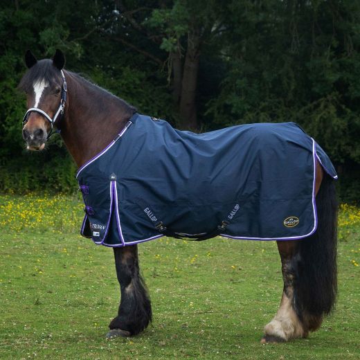 GALLOP DURAPROOF LIGHTWEIGHT TURNOUT NAVY/PURPLE