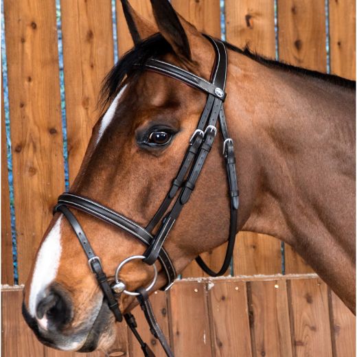 WORKING BY DYON FLASH BRIDLE BROWN