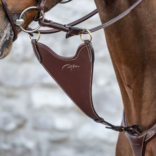 NEW ENGLISH COLLECTION FROM DYON HARD BIB MARTINGALE BROWN
