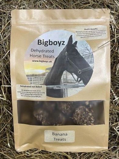 BIGBOYZ TREATS