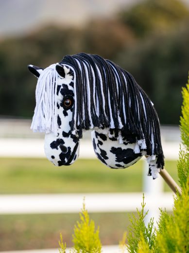LE MIEUX HOBBY HORSE DAKOTA
