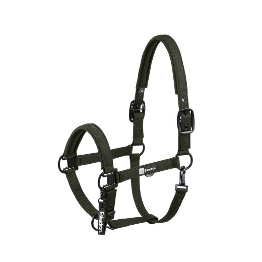 ESKADRON SPARKLE DOUBLE PIN HEAD COLLAR DEEP DREEN