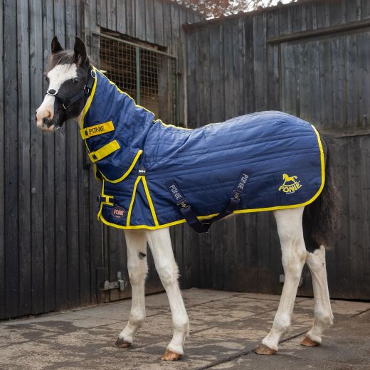 GALLOP NEW PONIE 200G STABLE COMBO NAVY/YELLOW