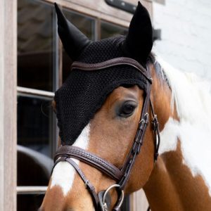 KENTUCKY FLY VEIL LONG SOUNDLESS