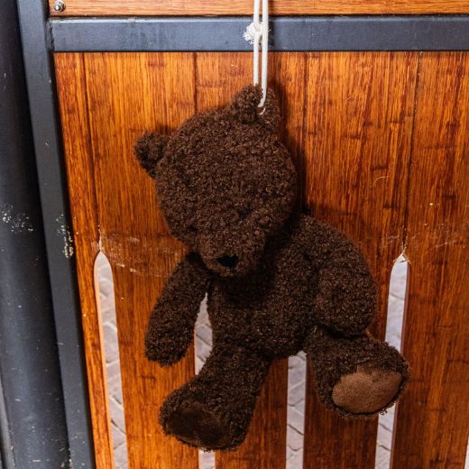 KENTUCKY NEW RELAX HORSE TOY BEAR BROWN