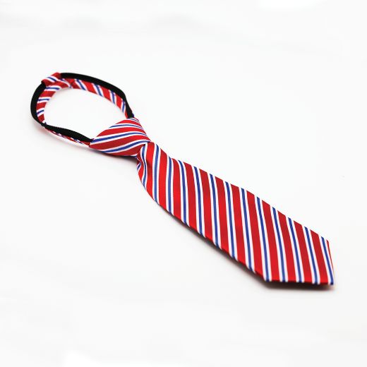 EQUETECH REGENT STRIPE READY TIED SHOW TIE JUNIOR