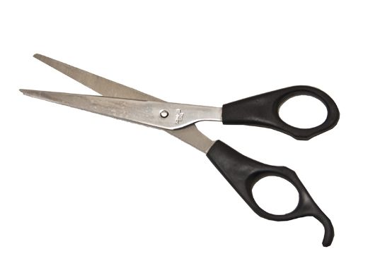 AGRI HEALTH SCISSORS ECONOMY