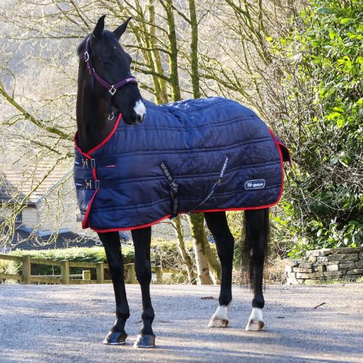 WHITAKER RASTRICK V2 STANDARD NECK STABLE RUG 100 GRAMS