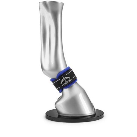 VEREDUS MAGNETIK PRO WRAP
