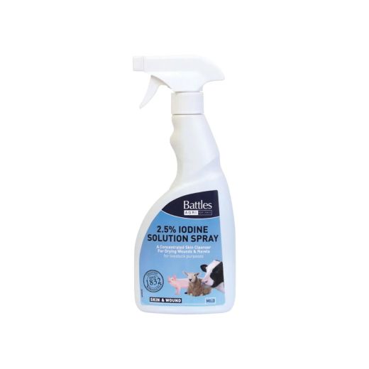 BATTLES 2.5% IODINE SOLUTION SPRAY 500ML