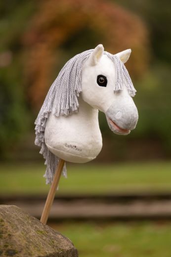LE MIEUX HOBBY HORSE COCO