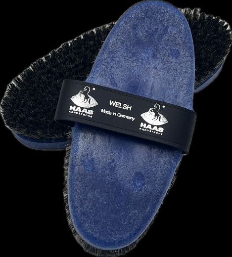 HAAS WELSH BLUE BODY BRUSH
