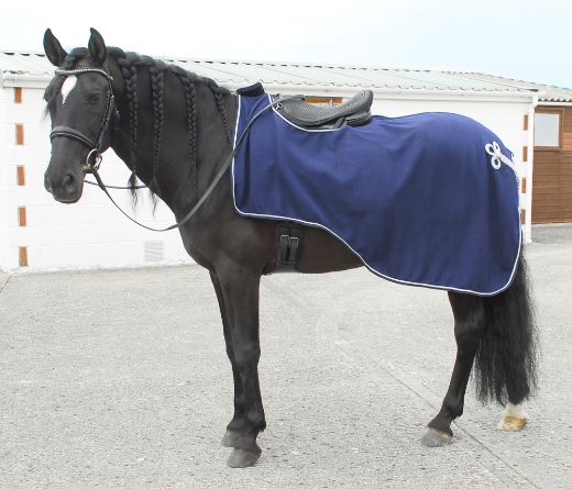 RHINEGOLD EMBROIDERED FLEECE EXERCISE SHEET IN NAVY
